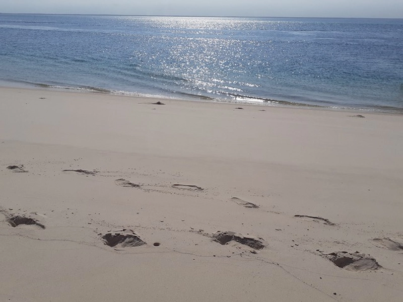 My journey into Mindfulness Mindfulness teaching