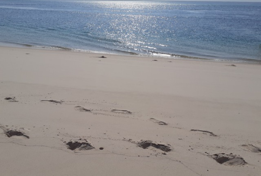 My journey into Mindfulness Mindfulness teaching Yoga Retreat India