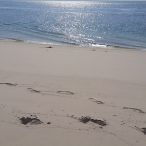 My journey into Mindfulness Mindfulness teaching Yoga Retreat India