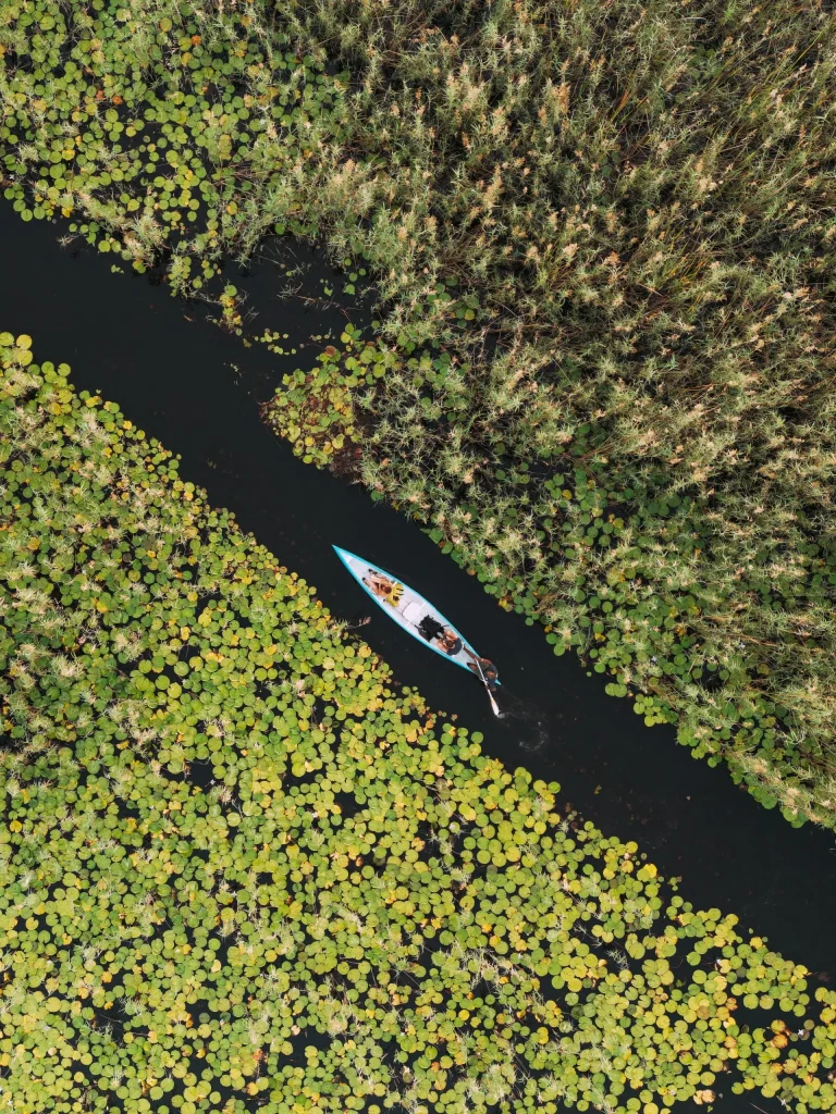Unfolding on the Govuro River in Vilanculos