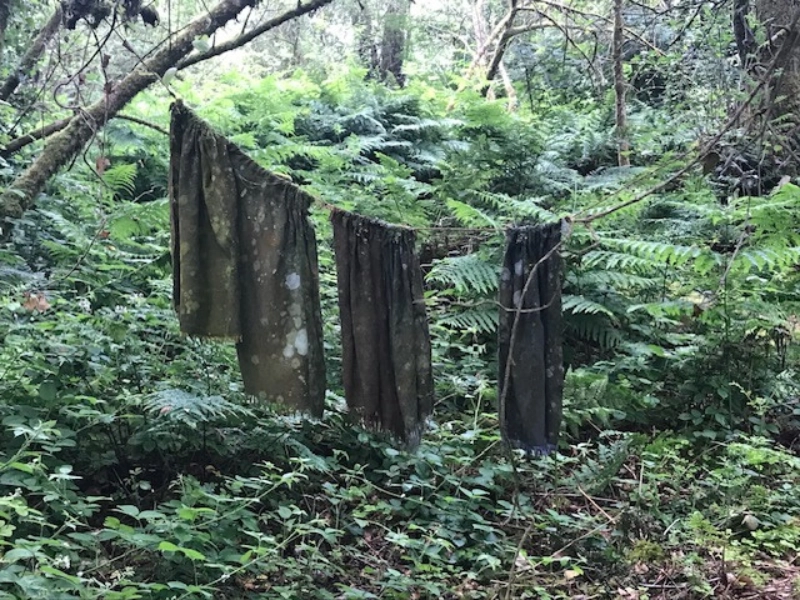 The Japanese-concept of wabi sabi is a beautifal way to look at our imperfections. Blog MindWise Mindfulness Retreats