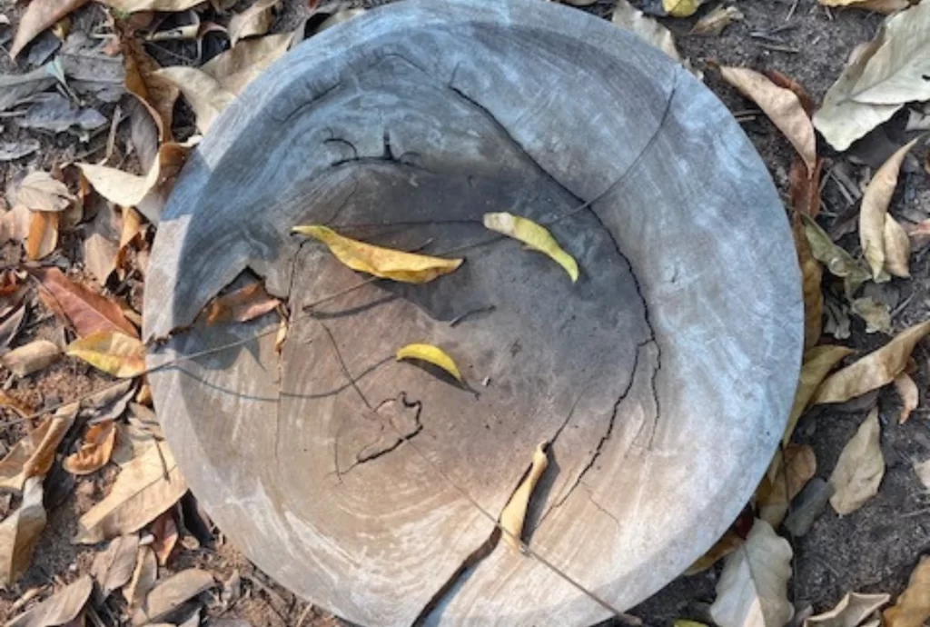 Mindfulness Meditation Retreats in Mozambique and Online