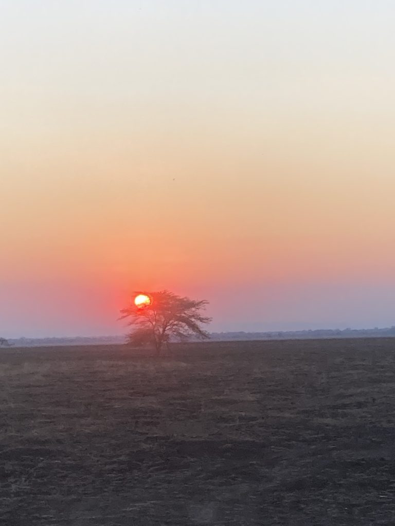 Sunset in Africa. Gorongosa National Park