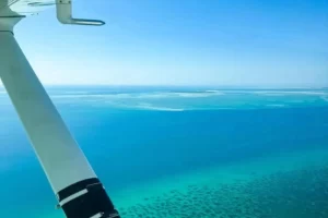 Zinave National Park 7 Day Men's Retreat Bush Beach & Wellbeing October 2025