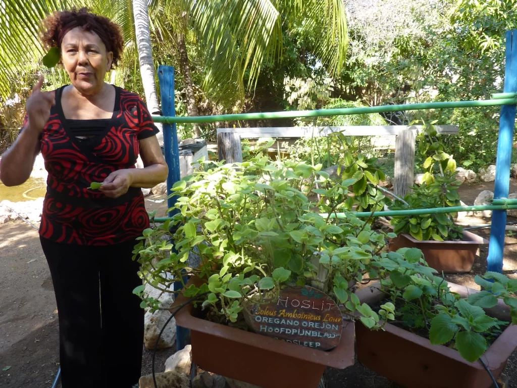 Den Paradera Herb Garden Curaçao, Dinah Veeris (own photo)
