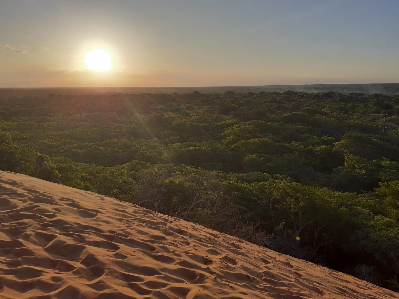 MindWise Mindfulness Retreats, courses and sessions in Vilanculos Mozambique and Online.