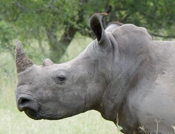 Zinave National Park Retreat 7 Day Men's Retreat October 2025