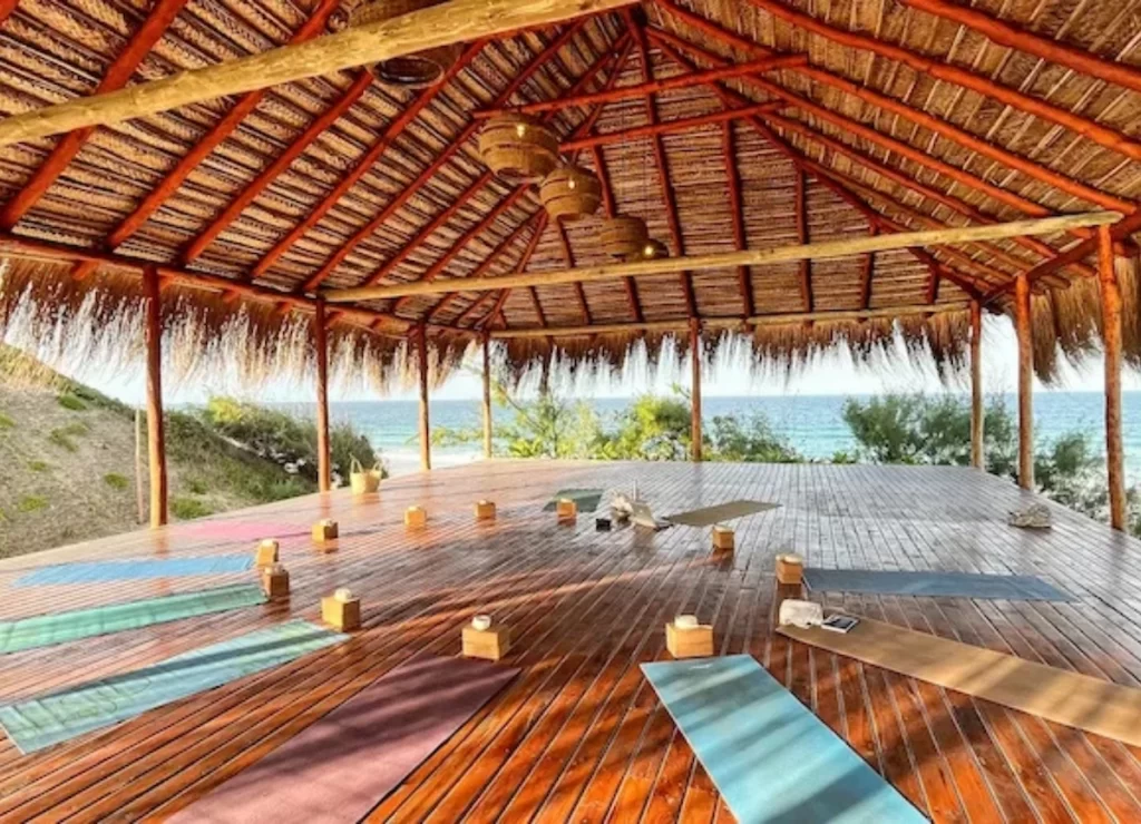 8 Day/ 7 Nights Bush & Beach Meditation, Surf & Yoga Retreat Mozambique Africa September 2025