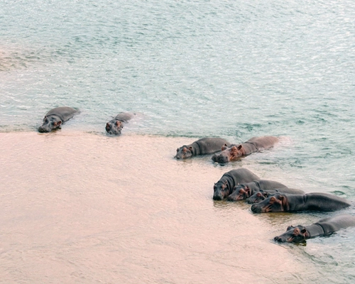 The most unique women retreat Africa Mozambique April 2026