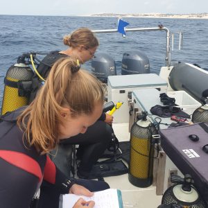 Working with scientists in the Bazaruto Archipelago