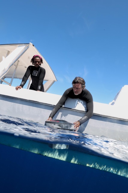 Scientific research in the Bazaruto Archipelago