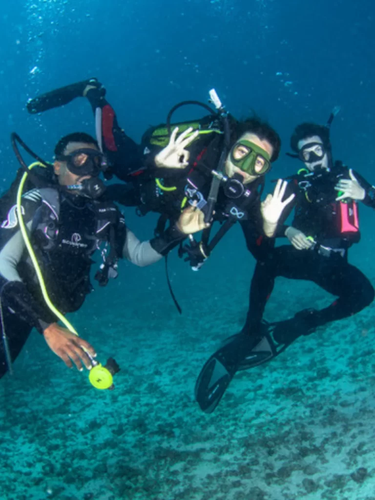 Marine scientists conducting underwater research dives in the clear tropical waters of the Bazaruto Archipelago Mozambique