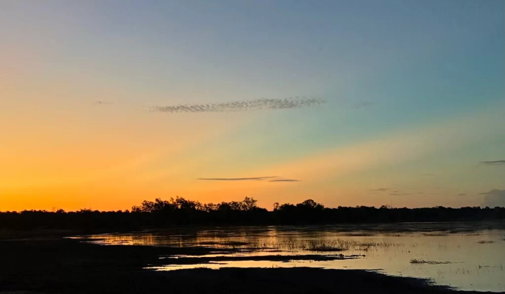 Sunset over Zinave National Park with silhouettes of trees and wildlife on the plains
