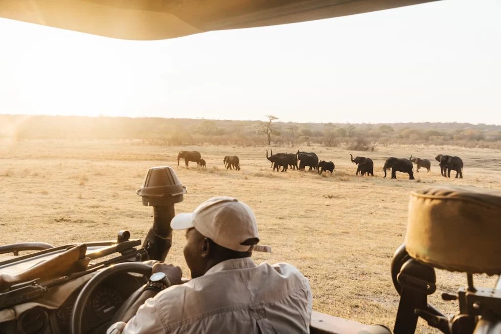 Private game reserve in Matetsi Lodge Victoria Falls Zimbabwe